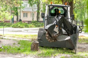 Stump Grinding in Dupage County IL