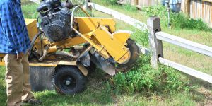 Stump Removal in Racine County WI